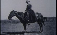 Cowgirls: Portraits of American Ranch Women