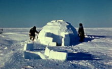 How to Build an Igloo