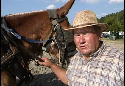 Old Timey Horse Farmers' Gathering