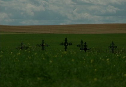 Prairie Crosses