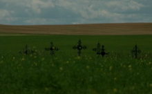 Prairie Crosses