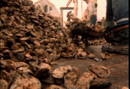 Schooners on the Bay