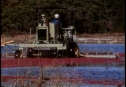 Stephen Lee - Cranberry Grower