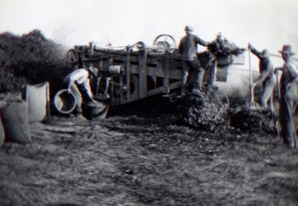 Virginia Peanut Story